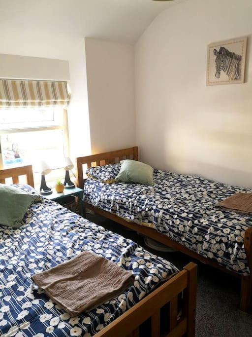 Dol Bach - Your Homely Welsh Cottage In The Heart Of Snowdonia Blaenau Ffestiniog Exterior foto