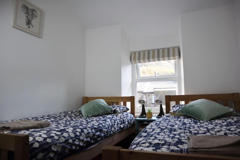 Dol Bach - Your Homely Welsh Cottage In The Heart Of Snowdonia Blaenau Ffestiniog Exterior foto